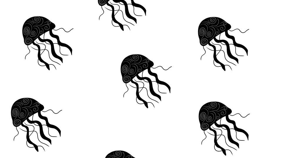 Jelly fish patterns