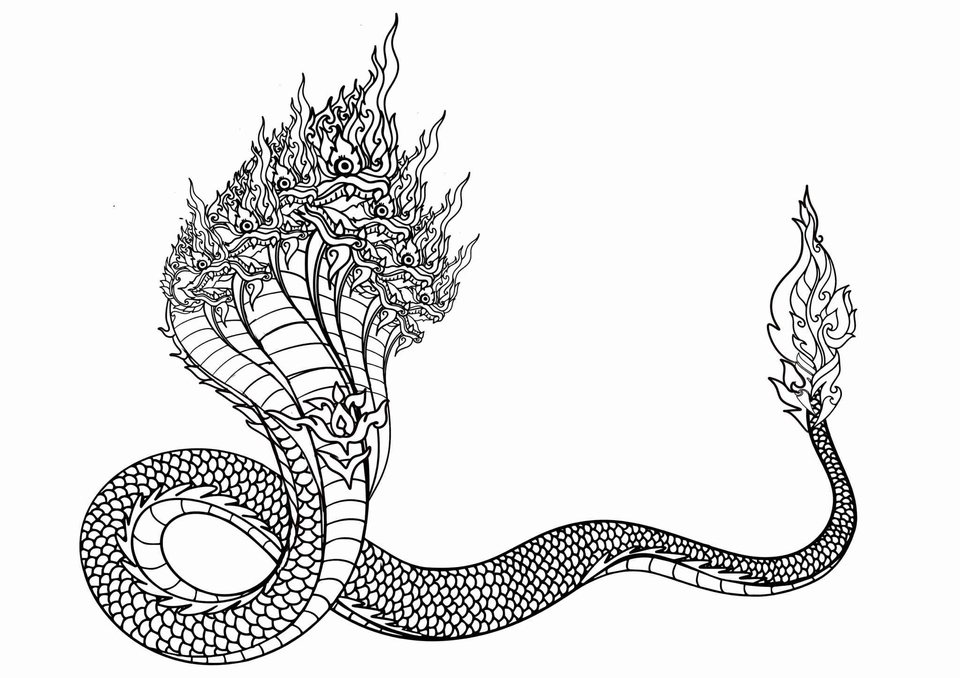 ออกแบบตัวละครมังงะสไตล์ญี่ปุ่น นากาเจ็ดเศียร