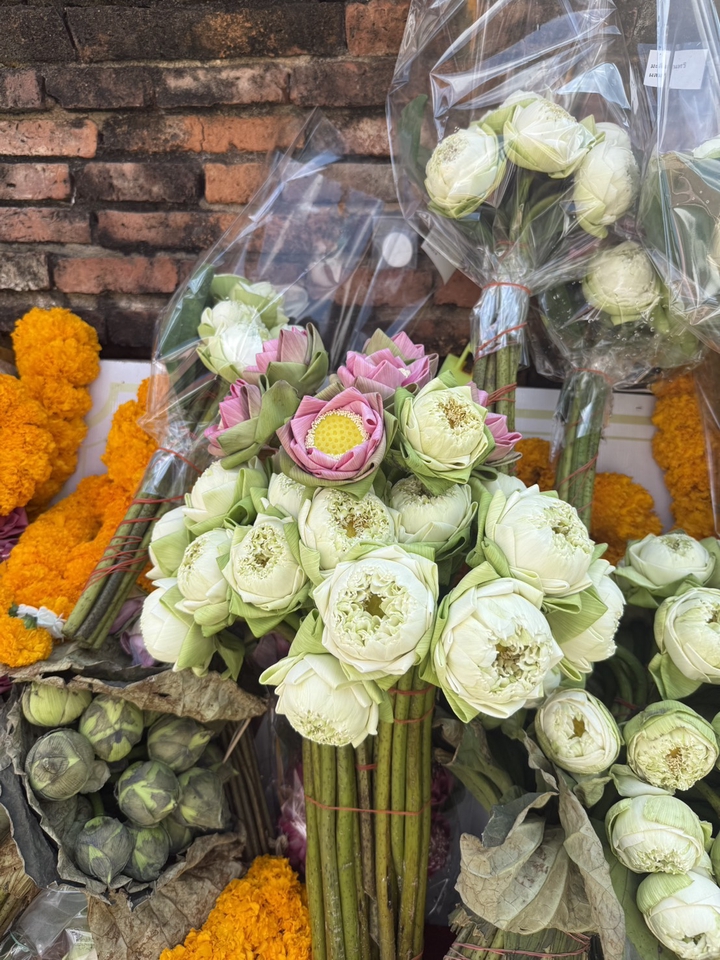 เวียนดอกบัว (ต้องพับดอกบัว)