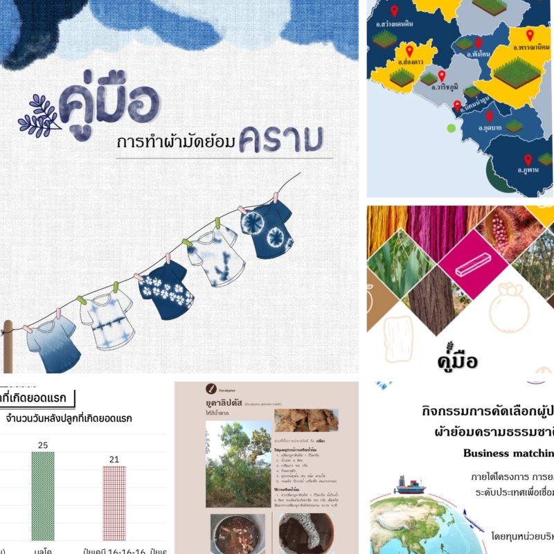 Presentation - ออกแบบและวาดภาพประกอบงานนำเสนอ โปสเตอร์ เล่มคู่มือ และอื่น ๆ - 2