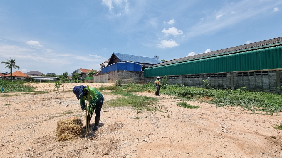 รับจ้างปลูกต้นไม้