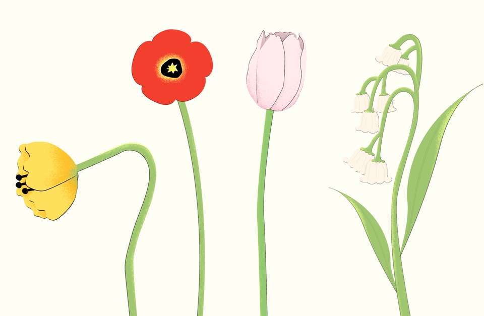 อื่นๆ - ออกแบบ Graphic Vector - 5