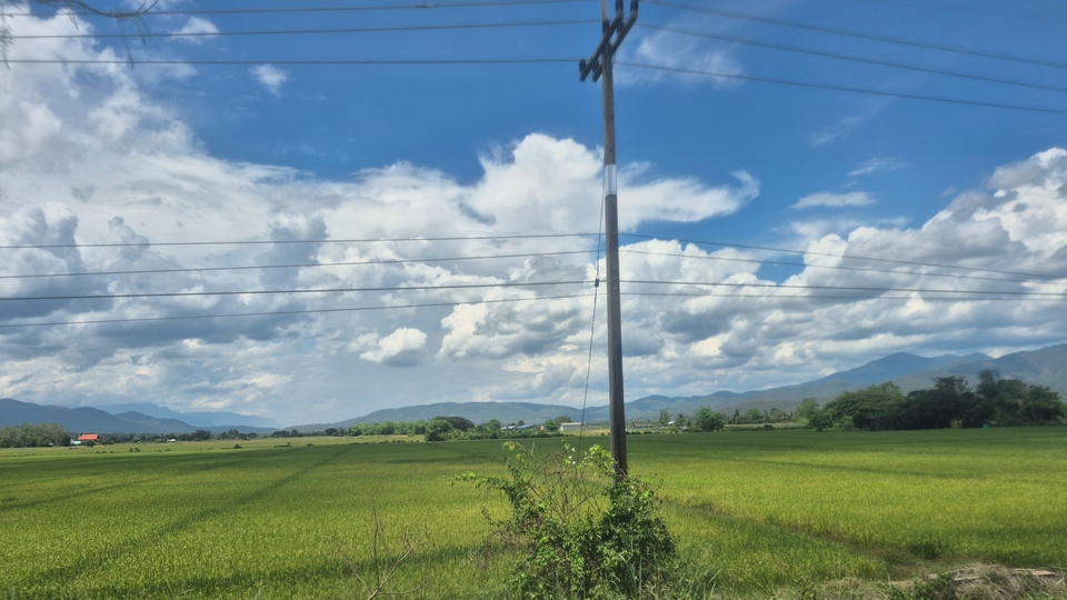 รับแปลภาษา บริการแปลเอกสารทุกภาษา ภาพทุ่งนาสวยงาม