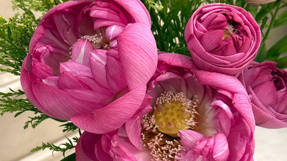 รับจัดดอกบัวสวยงาม งานแต่งงานพิธีต่างๆ