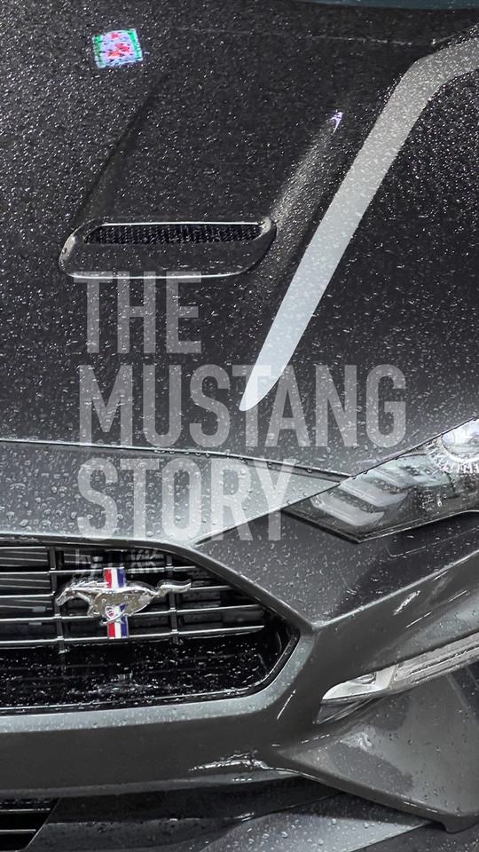 อื่นๆ - ถ่ายคลิป ถ่ายสตอรี่ในรถ Mustang | FPV มุมคนขับ รถมัสแตง IG Story, Tiktok | เลือก ambient light ได้ - 4