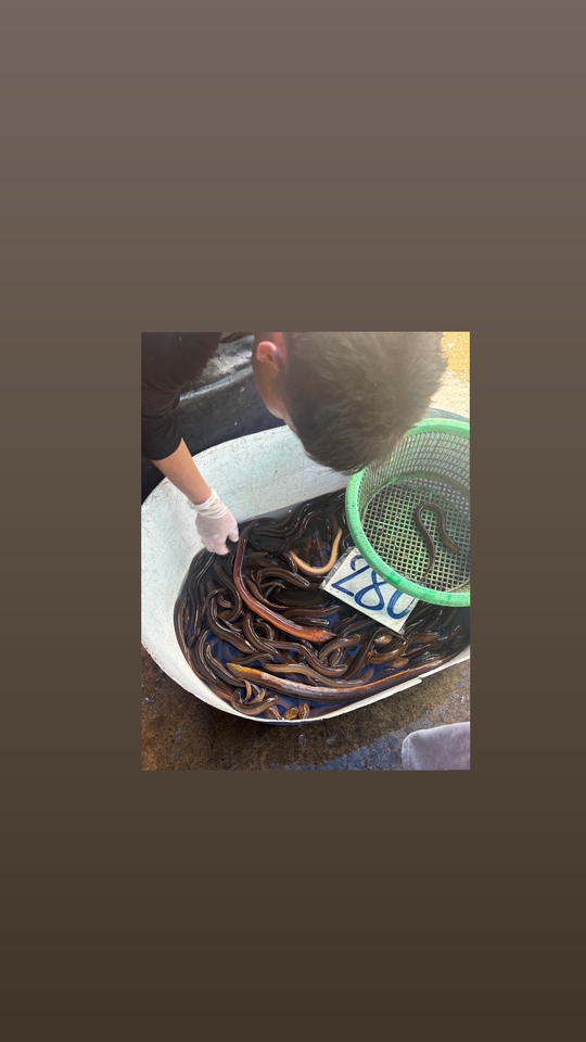 รับจ้างทำบุญออนไลน์ ทำบุญใส่บาตร ช่วยเหลือสังคม