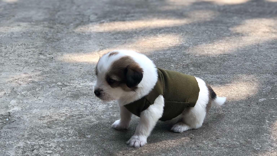 รับจ้างกินข้าวแก้เหงาอยู่เป็นเพื่อน