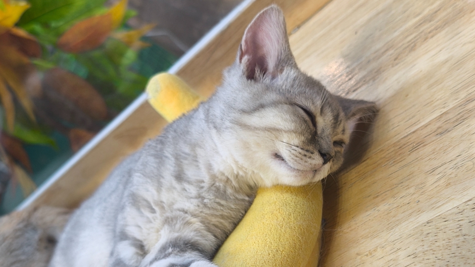 รับทำของชำร่วย ตามสั่ง