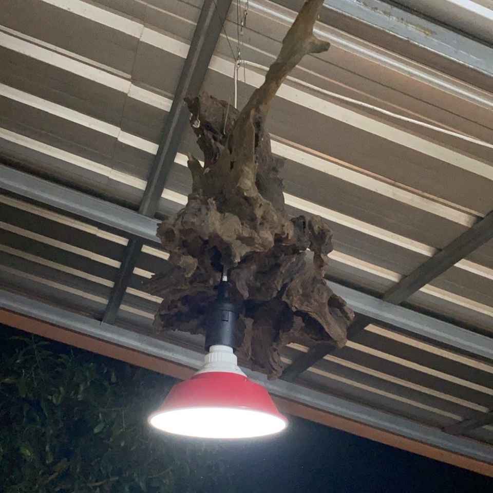 พนักงานขาย - งาน Crafts - 4