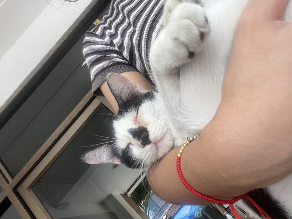 ถ่ายและตัดต่อวีดีโอ - ถ่ายวิวภาพสื่อความรู้สึก - 11