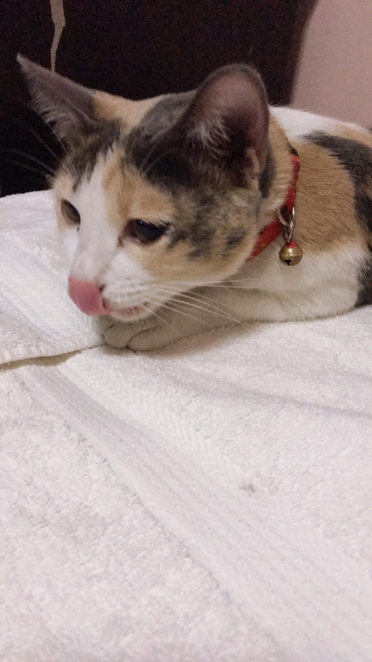 ถ่ายและตัดต่อวีดีโอ - ถ่ายวิวภาพสื่อความรู้สึก - 12