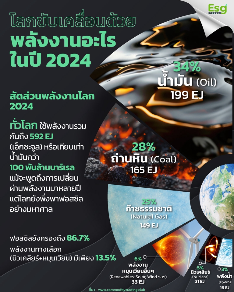 Infographics - งานออกแบบอินโฟกราฟิก - 4