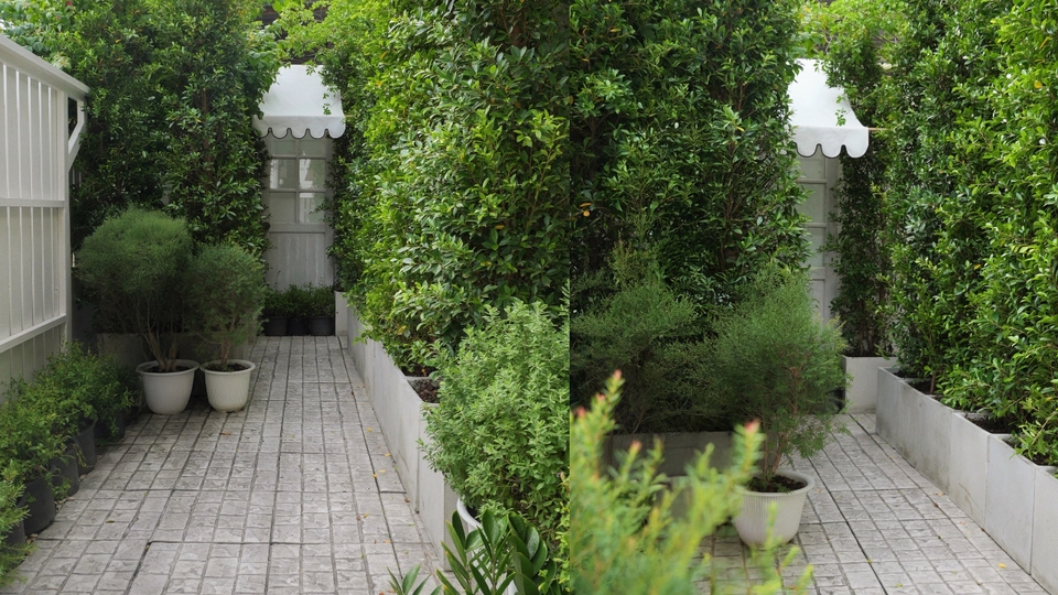 สตูดิโอให้เช่า - Villa Vanilla Studio | สตูดิโอแสงธรรมชาติ ซอยสาธุประดิษฐ์49 - 17