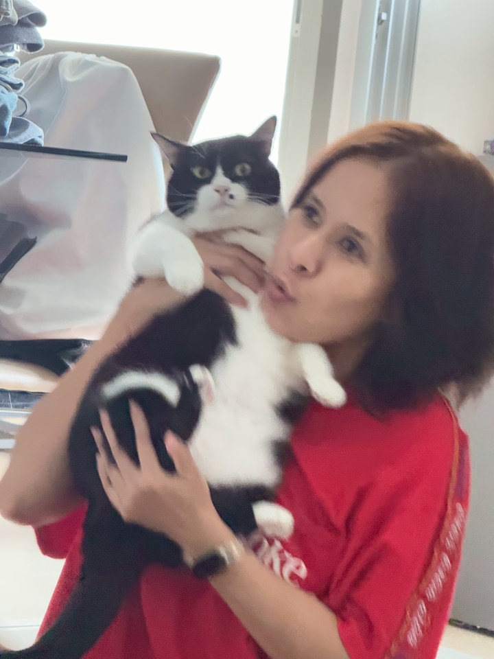 รับจ้างเลี้ยงแมว ดูแลแมวที่บ้าน บริการพี่เลี้ยงแมว