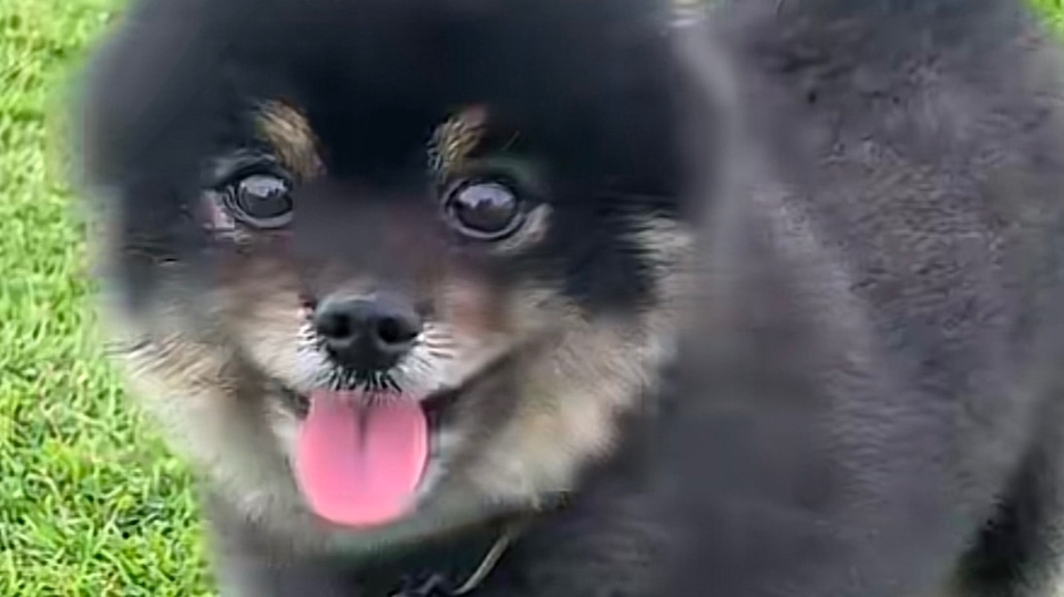 พี่ลู่ฟี้ heal ใจ สาย exporters 