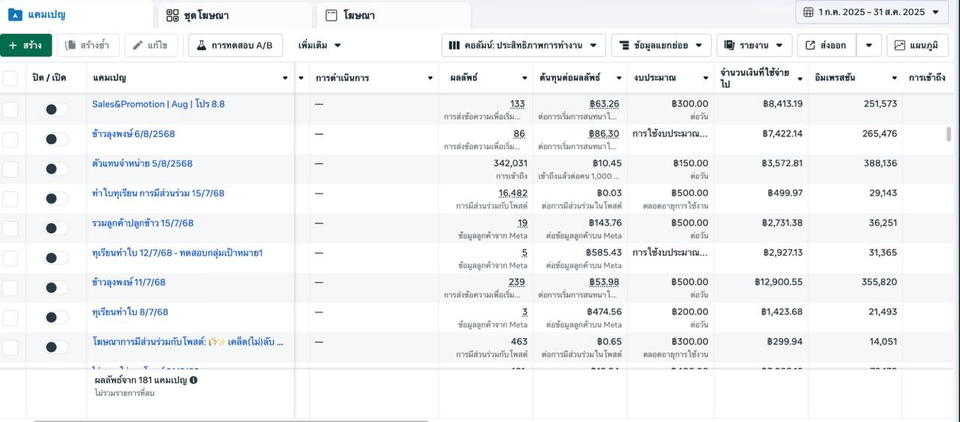 ภาพหน้าจอแสดงผลการรับทำโฆษณา facebook และ instagram ads, การจัดการแคมเปญโฆษณาออนไลน์, ค่าโฆษณา, ข้อมูลต่างๆ รับยิงแอด facebook, ทำโฆษณา ig, โฆษณาบน social media.