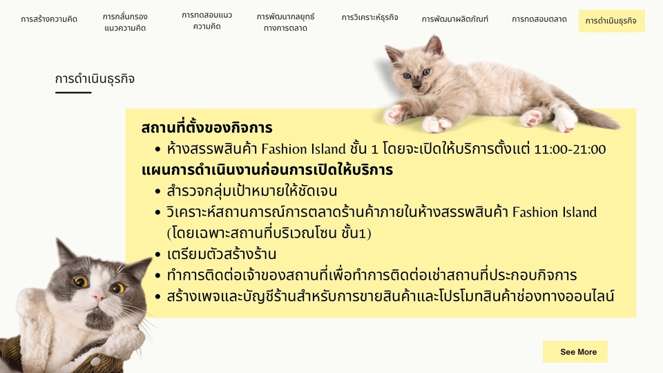 รับทำพรีเซนเทชั่นธุรกิจ  แผนธุรกิจ Fashion Island