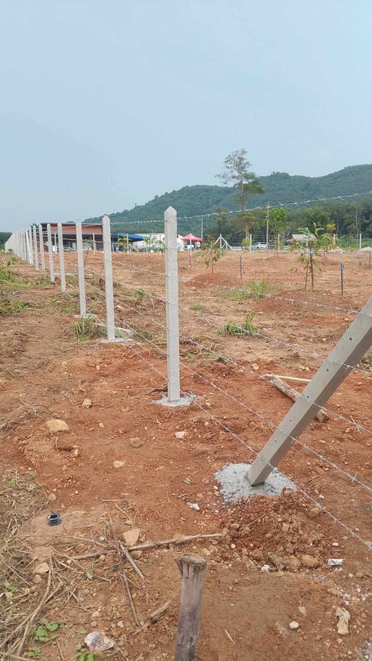 รับเหมาก่อสร้างรั้วลวดหนาม ใช้เสาปูน งานก่อสร้าง