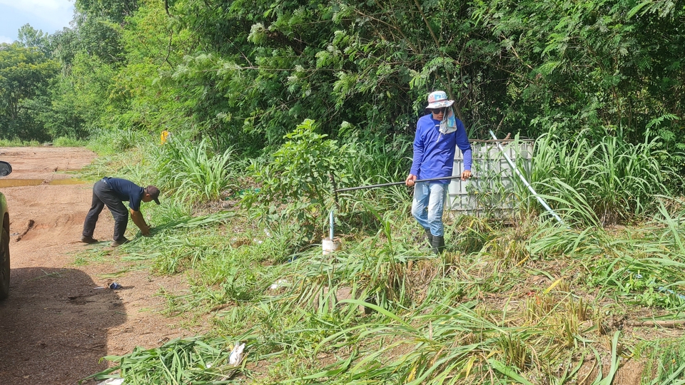 รับตัดหญ้า ถางหญ้า ทำความสะอาดบริเวณบ้าน สวน หรือพื้นที่รกร้าง เขต จ.อุดรธานี