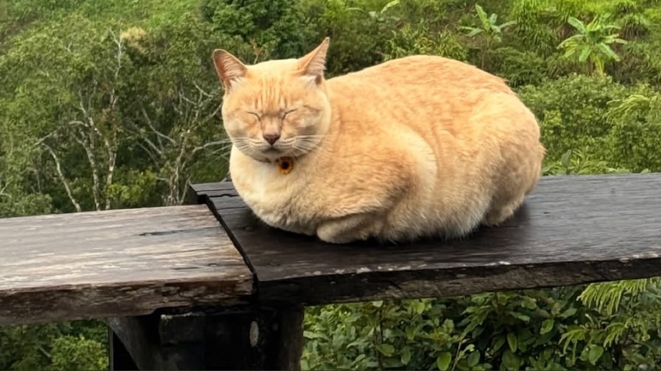 รับปรึกษาปัญหาชีวิตและครอบครัว สร้างแรงบันดาลใจ ไลฟ์โค้ช