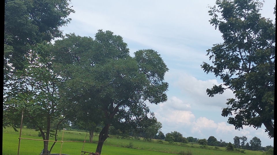 เหมาะสำหรับโปรโมทบริการรับดูแลเพจ Facebook งานตอบแชทลูกค้า และบริการอื่นๆ facebook