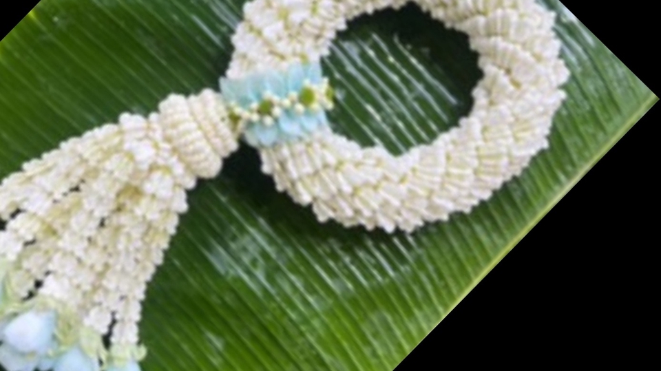 รับพาผู้ป่วยไปโรงพยาบาล หรือ คุณลุง คุณป้า พาเพื่อน ไปทำบุญ หรือไปคาเฟ่ สวนสาธารณะเป็นเพื่อนนั่งคุย