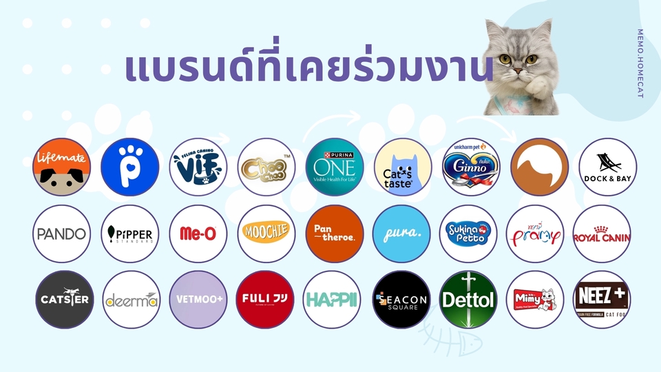 รับรีวิวสินค้าสัตว์เลี้ยง TikTok/IG รีวิวแมว อุปกรณ์สัตว์เลี้ยง พร้อมถ่ายภาพและวิดีโอครบจบ
