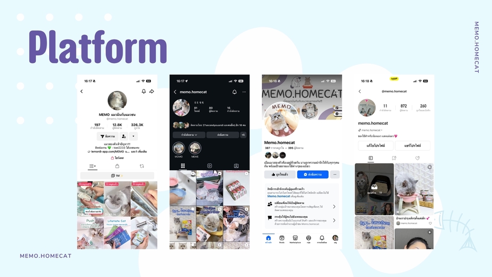 รับรีวิวสินค้าสัตว์เลี้ยง TikTok/IG รีวิวแมว อุปกรณ์สัตว์เลี้ยง พร้อมถ่ายภาพและวิดีโอครบจบ