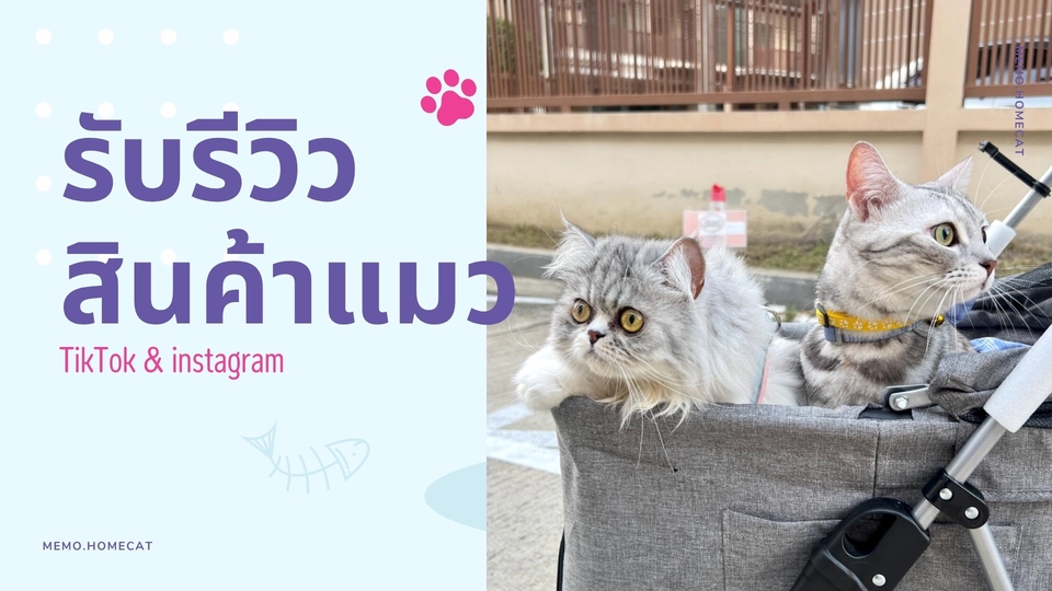 รับรีวิวสินค้าสัตว์เลี้ยง TikTok/IG รีวิวแมว อุปกรณ์สัตว์เลี้ยง พร้อมถ่ายภาพและวิดีโอครบจบ