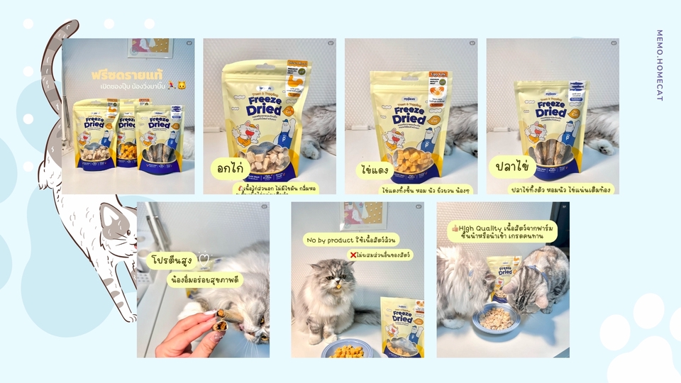 รับรีวิวสินค้าสัตว์เลี้ยง TikTok/IG รีวิวแมว อุปกรณ์สัตว์เลี้ยง พร้อมถ่ายภาพและวิดีโอครบจบ