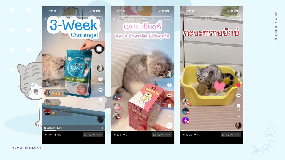รับรีวิวสินค้าสัตว์เลี้ยง TikTok/IG รีวิวแมว อุปกรณ์สัตว์เลี้ยง พร้อมถ่ายภาพและวิดีโอครบจบ