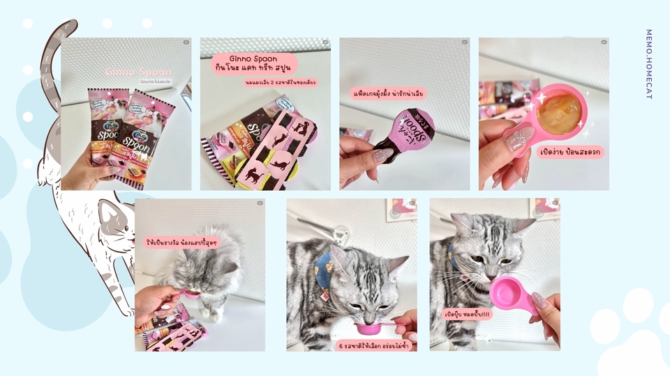 รับรีวิวสินค้าสัตว์เลี้ยง TikTok/IG รีวิวแมว อุปกรณ์สัตว์เลี้ยง พร้อมถ่ายภาพและวิดีโอครบจบ