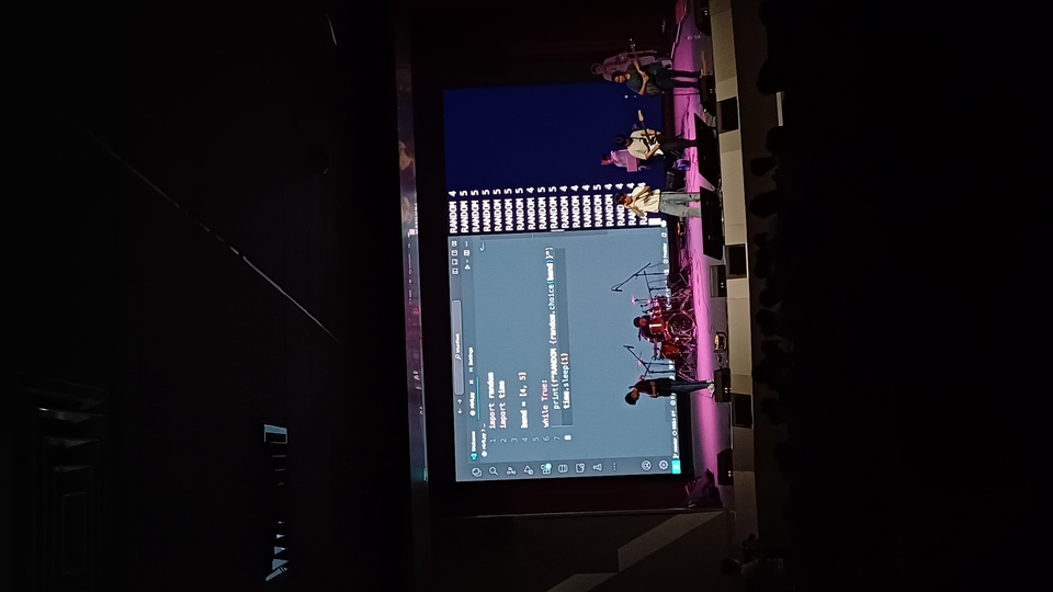 Sound Engineer - Stage lighting operator/designer - 4