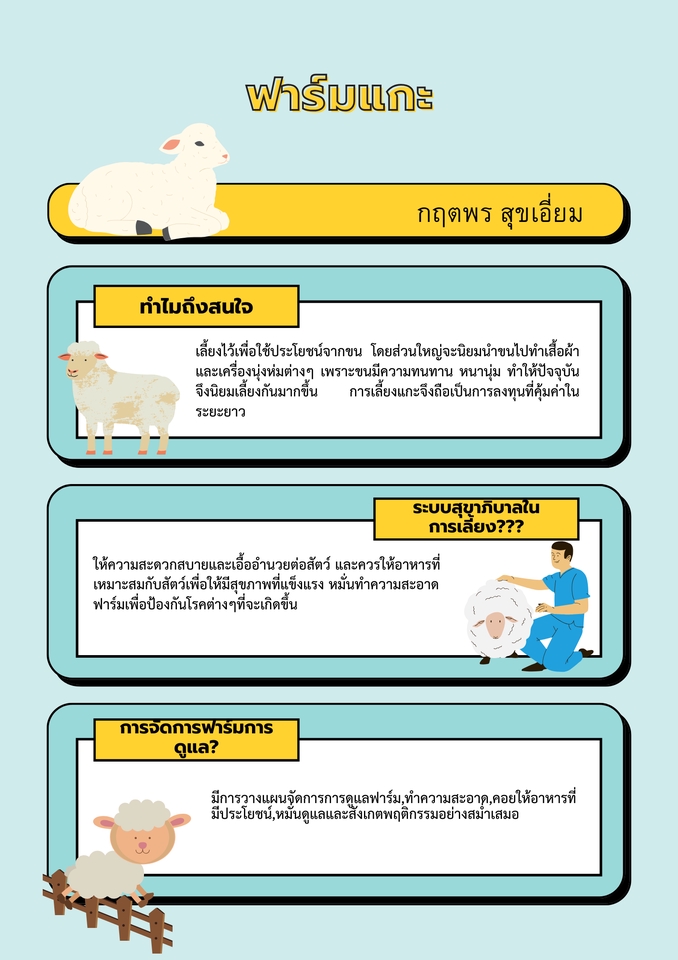 รับทำพรีเซนเทชั่นภาพฟาร์มแกะน่ารัก