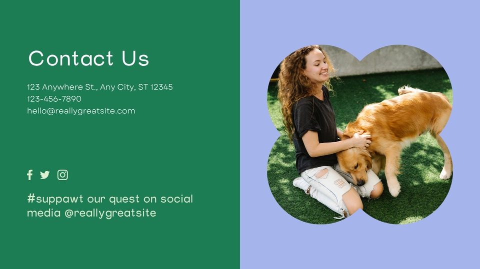 Web Development - Fast Web | Dog Cat Hotel Vet Clinic Animal Charity Website English Thai 1-2 days - 7