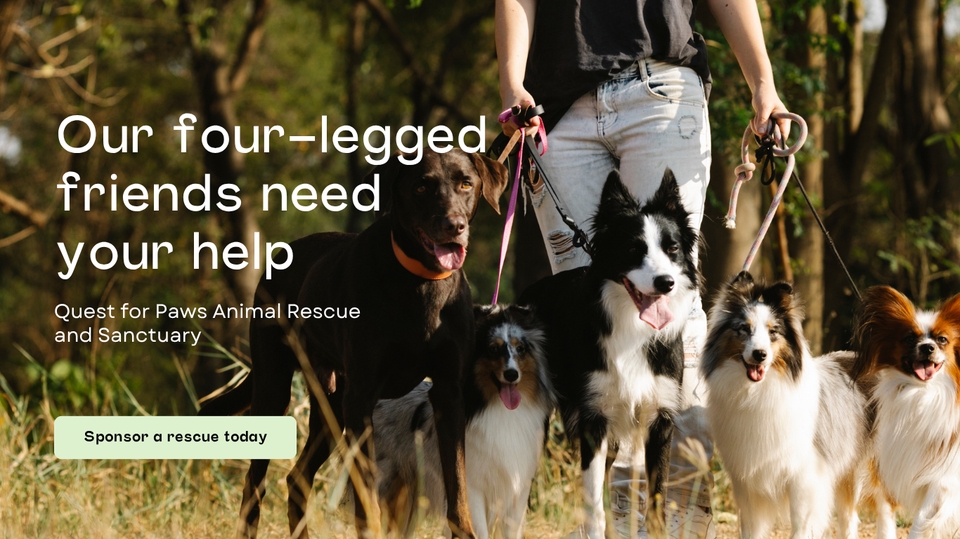 Web Development - Fast Web | Dog Cat Hotel Vet Clinic Animal Charity Website English Thai 1-2 days - 2