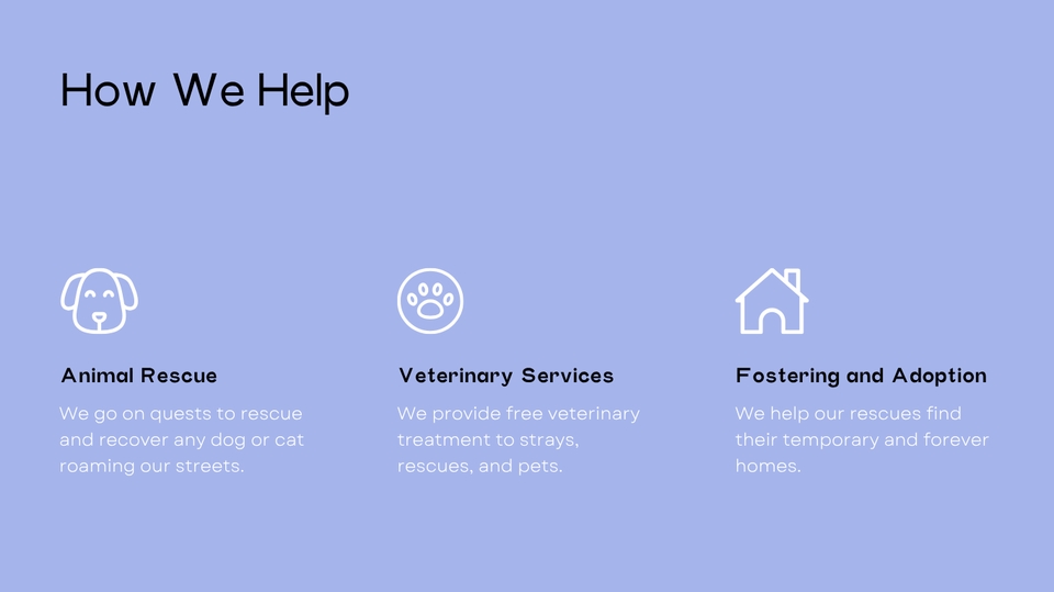 Web Development - Fast Web | Dog Cat Hotel Vet Clinic Animal Charity Website English Thai 1-2 days - 4