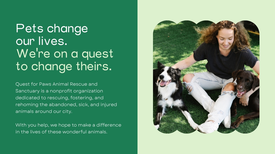 Web Development - Fast Web | Dog Cat Hotel Vet Clinic Animal Charity Website English Thai 1-2 days - 3