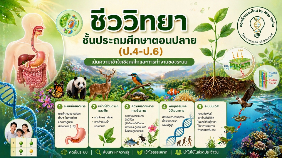 ครูสอนพิเศษออนไลน์ วิทยาศาสตร์ ชีววิทยา ป.4-6
