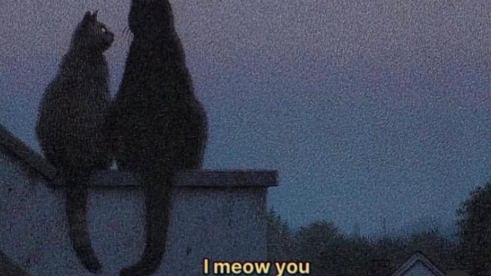 สวัสดีค่ะ เราชื่อณัช อายุ 27 เราชอบ deep talk มากกก มีไรไม่สบายใจคุยกับเราได้ เราอยู่ข้างๆคุณนะ