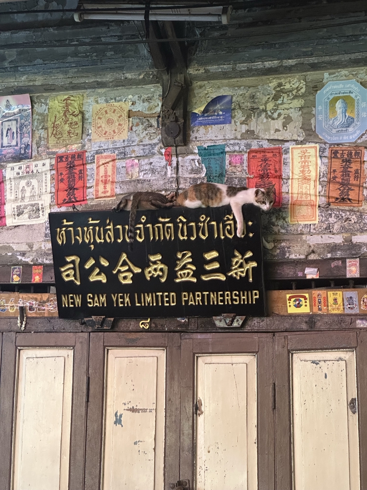 เพื่อนพาเที่ยว คนนำเที่ยว - พาเที่ยว พากิน ย่านเยาวราช ราชดำเนิน สนามหลวง เสาชิงช้า - 5