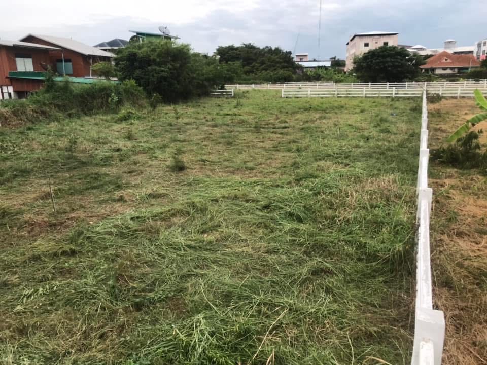 รับจ้างตัดหญ้าและตัดแต่งต้นไม้ บริการตัดหญ้าราคาประหยัด