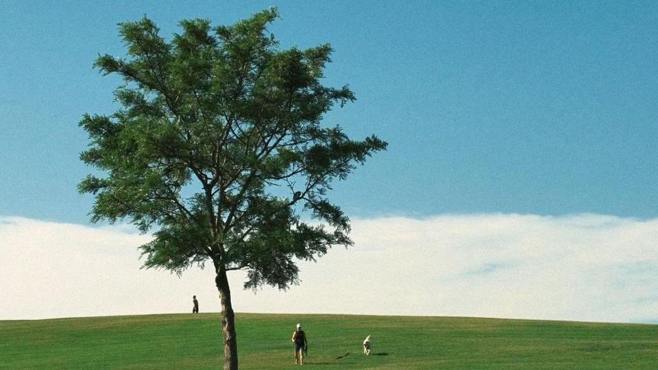 รับพิมพ์งาน รับคีย์ข้อมูล บริการรับทำเอกสารทั่วไป