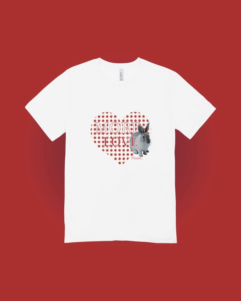 ออกแบบเสื้อยืดลายกระต่ายน่ารัก  More Love