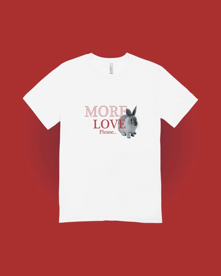 ออกแบบเสื้อยืดลายกระต่ายน่ารัก  More Love Please
