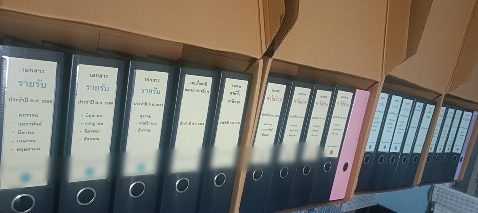 ทำบัญชีและยื่นภาษี - รับจัดเรียง !! เก็บเอกสาร !! รายได้ - ค่าใช้จ่าย ของบริษัท - 2