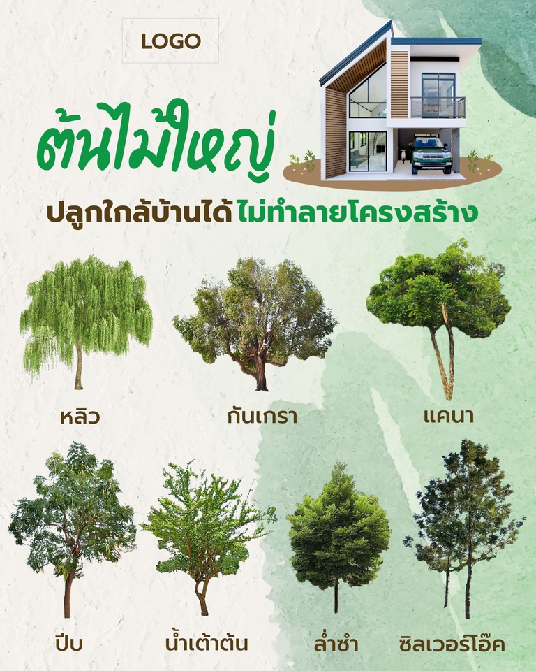 รับทำอินโฟกราฟฟิค ต้นไม้ใหญ่เหมาะปลูกบ้าน