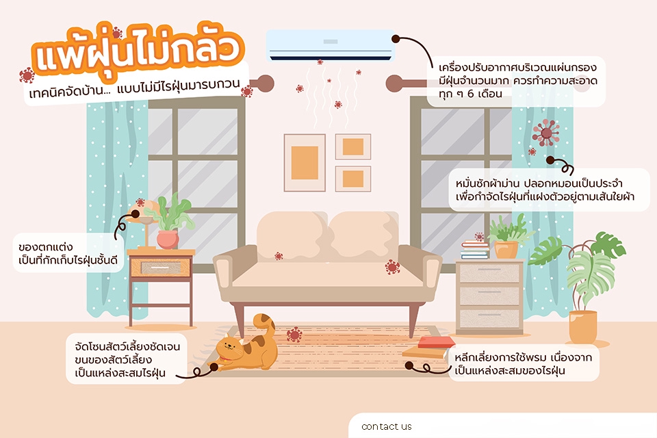 รับทำอินโฟกราฟฟิค แพ้ฝุ่น วิธีจัดบ้านไร้ฝุ่น