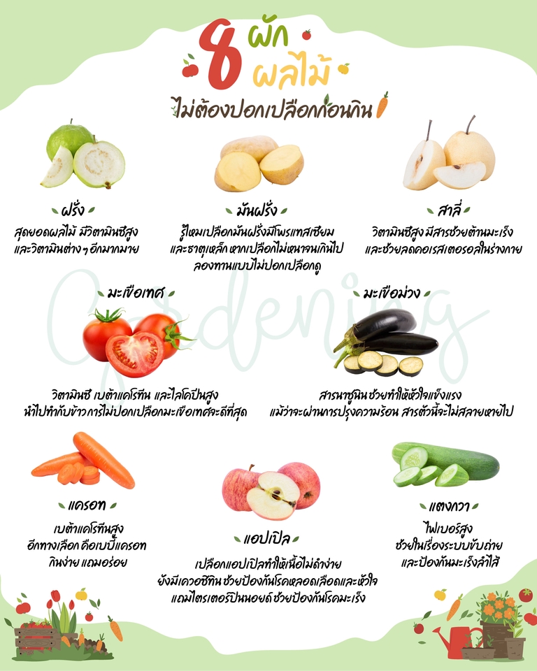 รับทำ infographic ผลไม้ ผัก 6 ชนิด ไม่ต้องปอกเปลือก