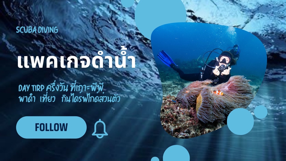 ทริปดำน้ำที่เกาะพีพี จ.กระบี่
Fun dive 3,200
2 dive รวม อุปกรณ์, ประกัน และอาหาร บนเรือ
จองได้เลย